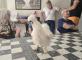 ZOOTHERAPIE / 27 MAI 2026 Résidence l'Oustaou Plan-de-Cuques